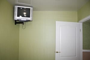 Весела Бджілка 5