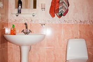 Мини-отель Весела Бджілка. Комфорт двухместный  5